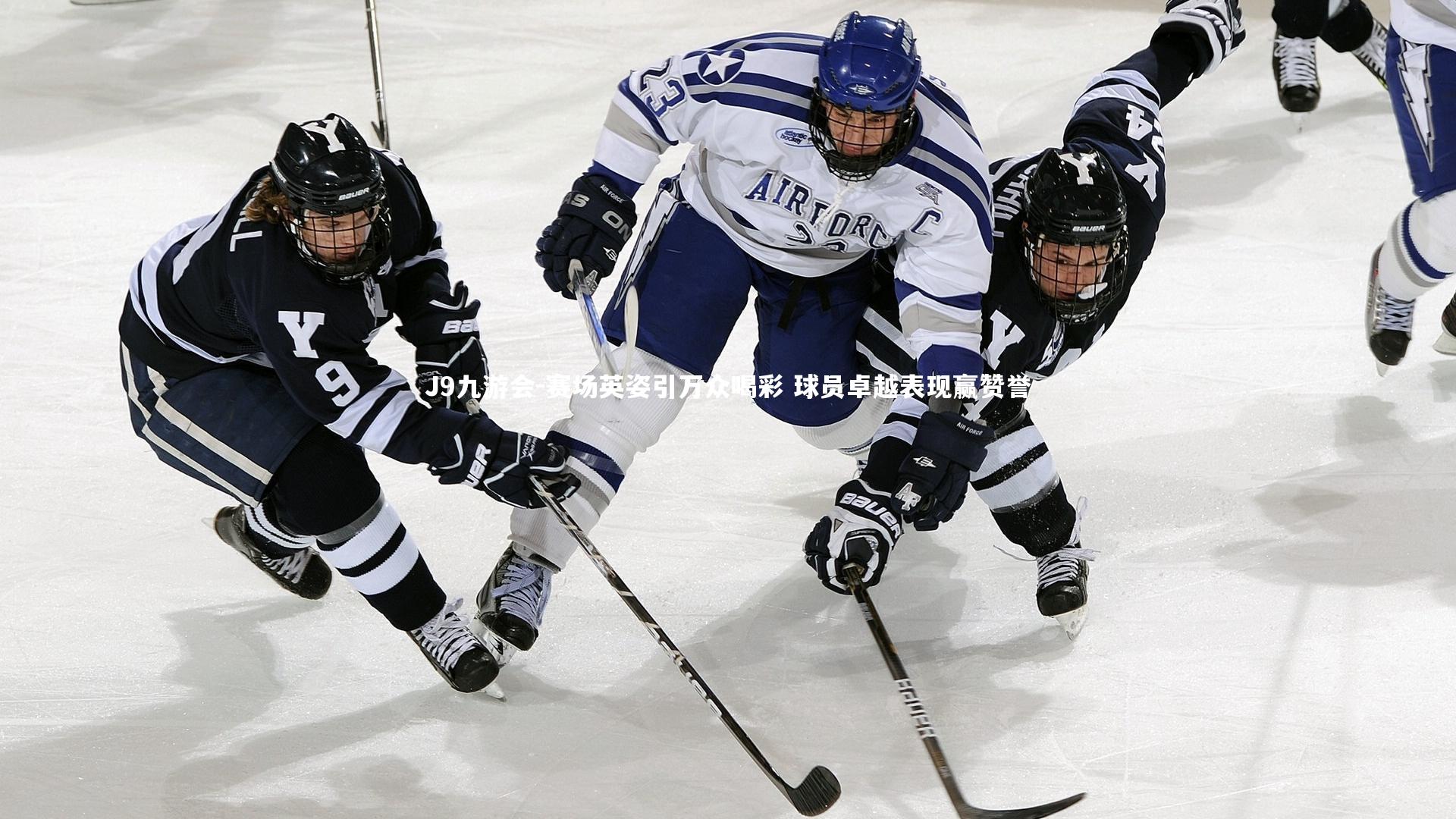 赛场英姿引万众喝彩 球员卓越表现赢赞誉